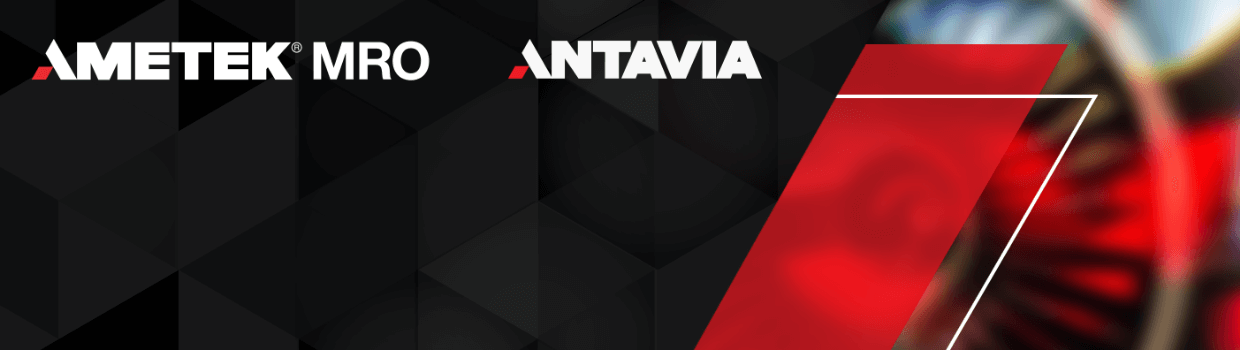 Antavia Ametek